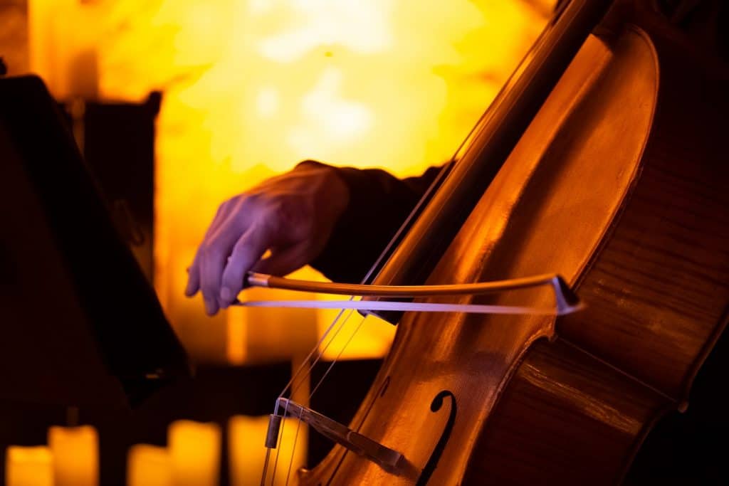 a close-up of a cello