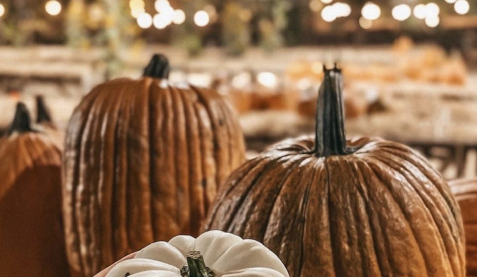This Pumpkin Farm Is The Perfect October Plan
