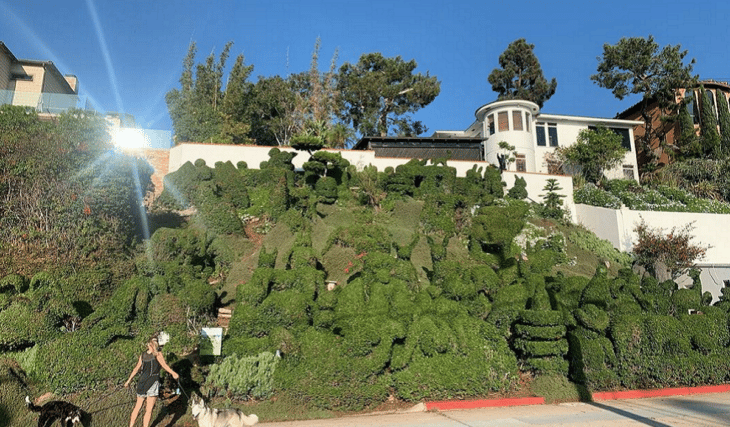 Check Out The Real Life Edward Scissor Hands Garden In San Diego